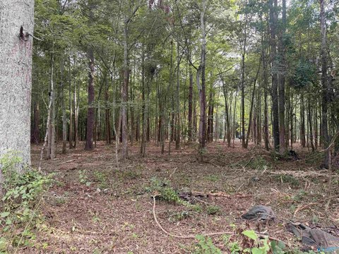 LAND - Centre, AL