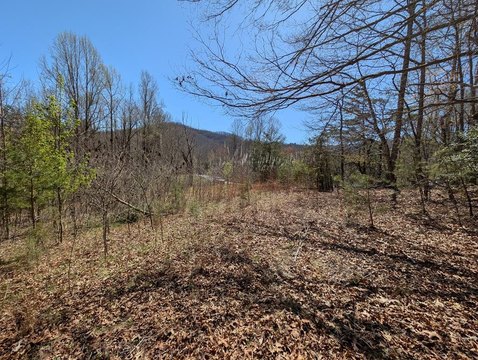 LAND - Hayesville, NC