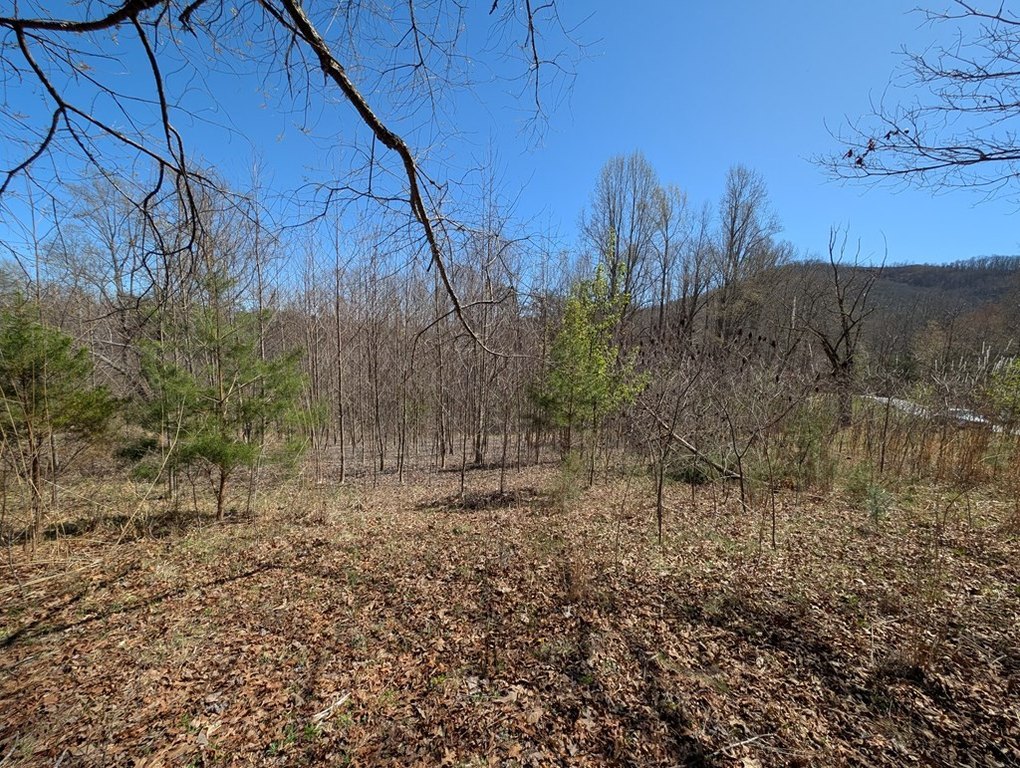 Picture 5