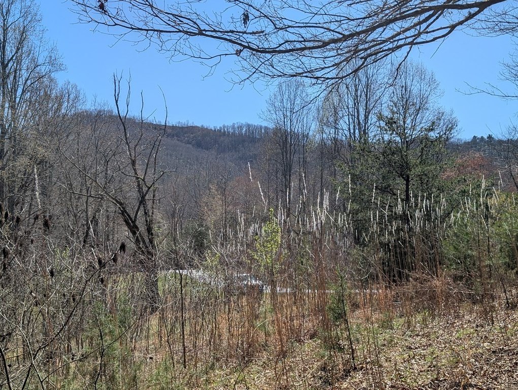 Picture 4