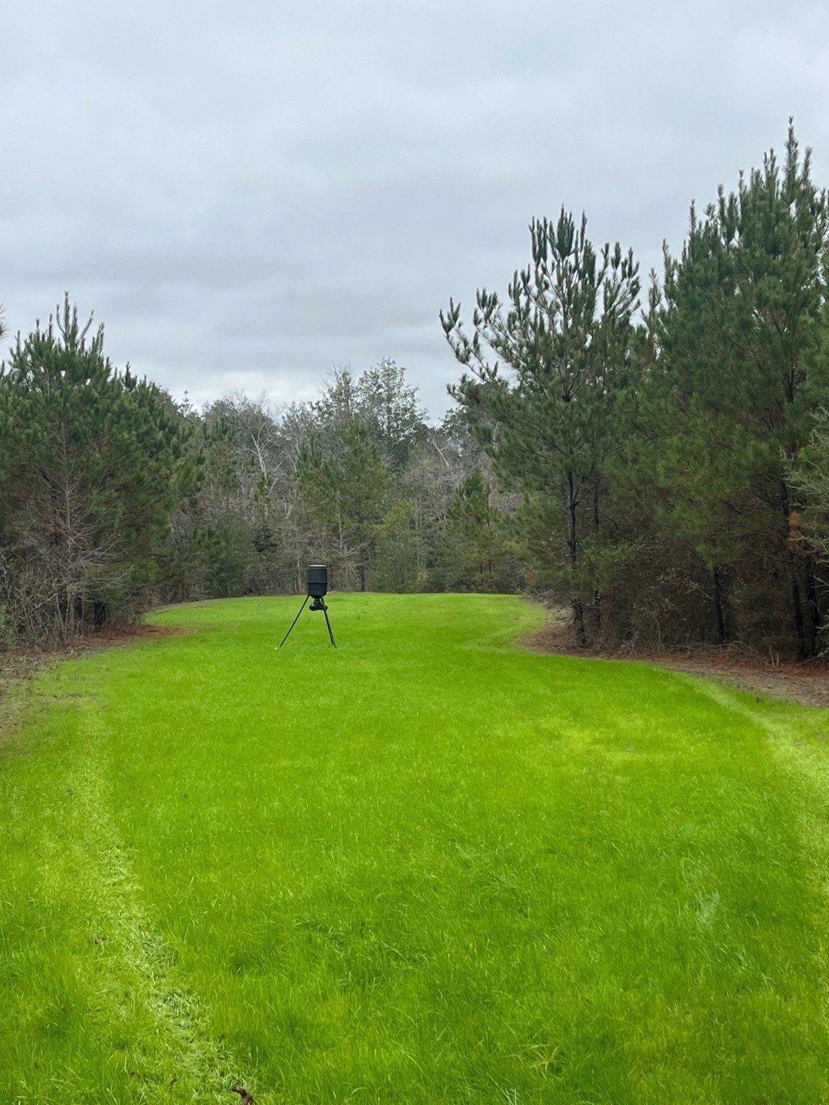 200 Acres of Hunting Land