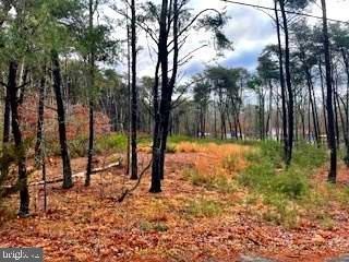 Land in Bridgeton, New Jersey