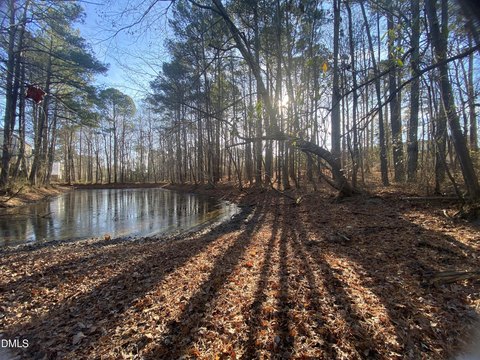 Secluded Holly Springs Land with Pond