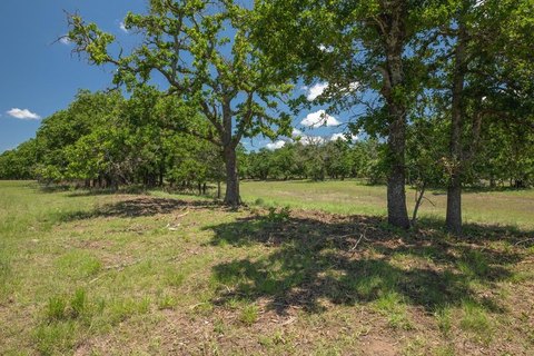 Fredericksburg Land with Mature Trees