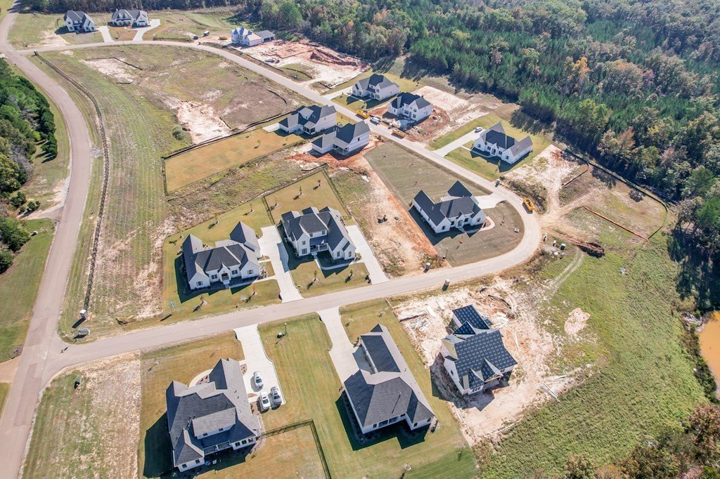 Picture 4