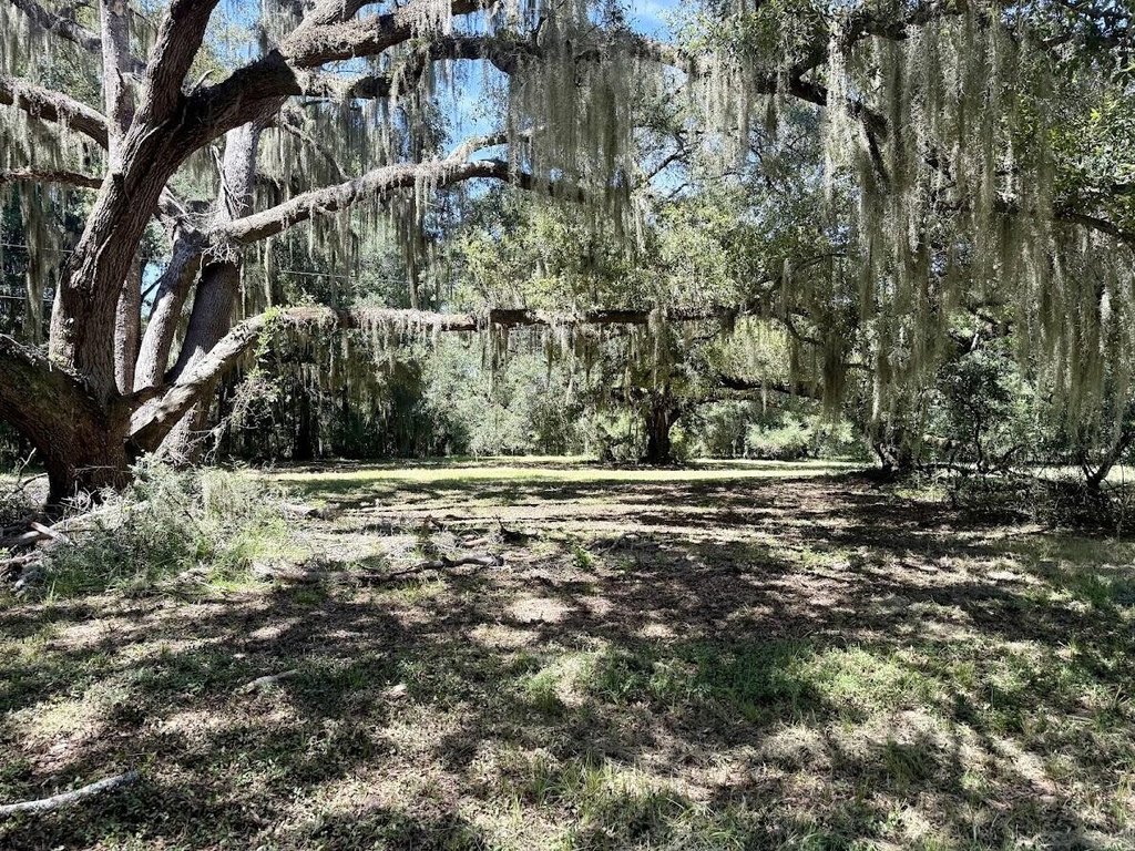 Picture 16