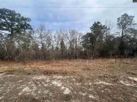 Residential Lot in Elgin, SC
