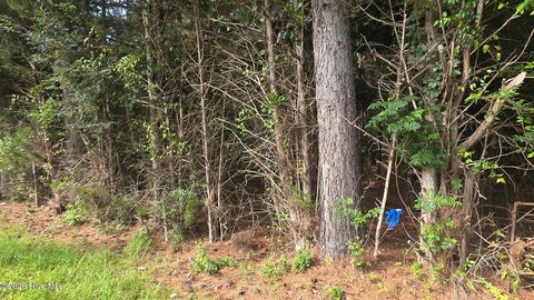 LAND - Appling, GA