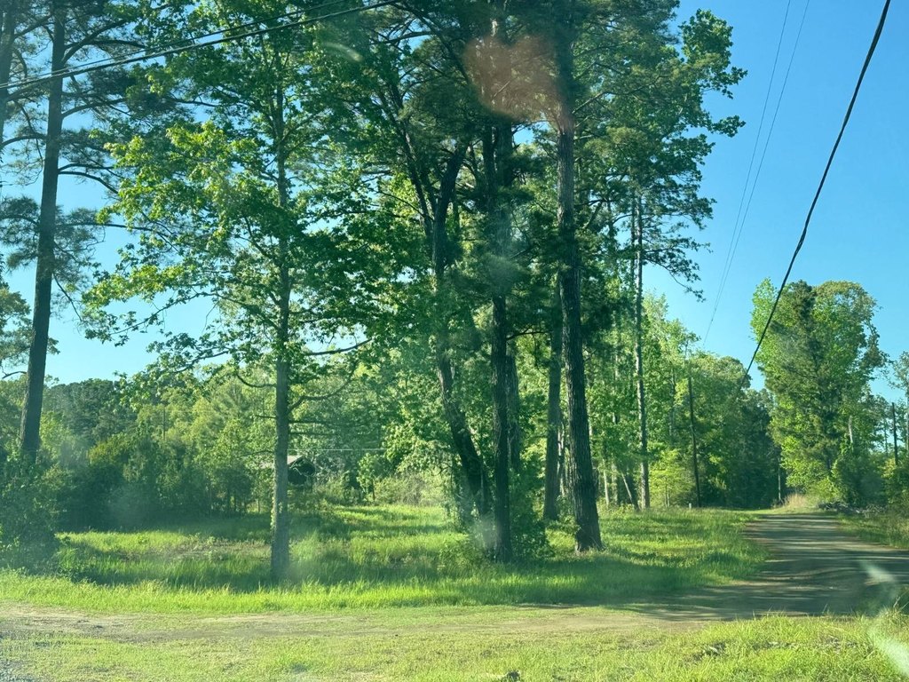 Picture 6