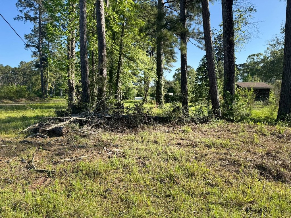 Picture 5
