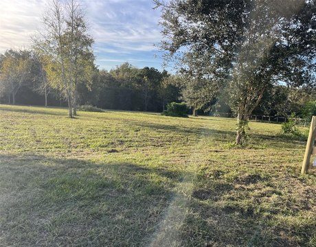 Land, DADE CITY, FL