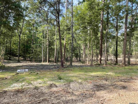 Unimproved Land - Clinton, LA