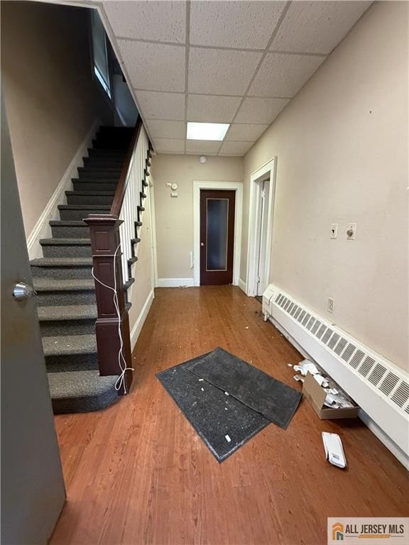 Picture 5
