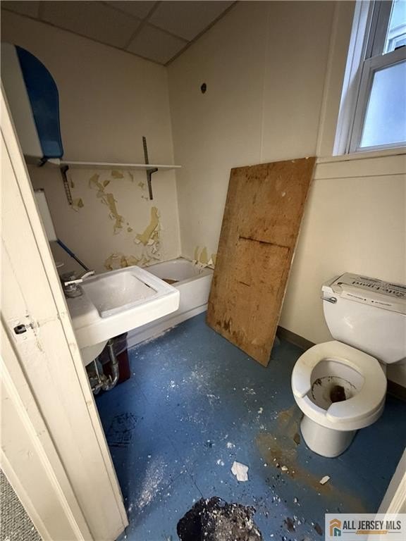 Picture 21