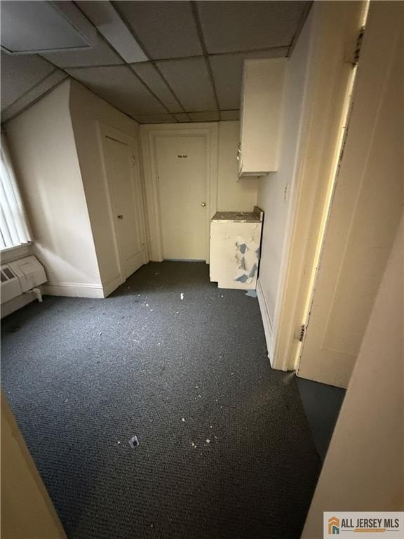 Picture 28