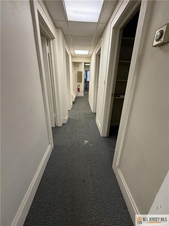 Picture 19