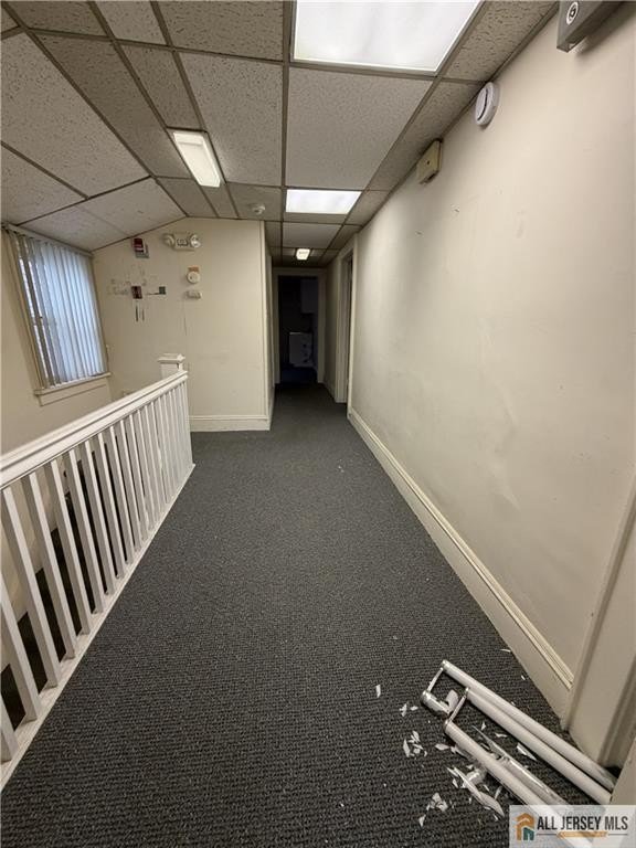 Picture 24