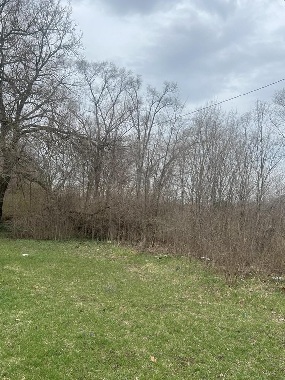 Picture 3