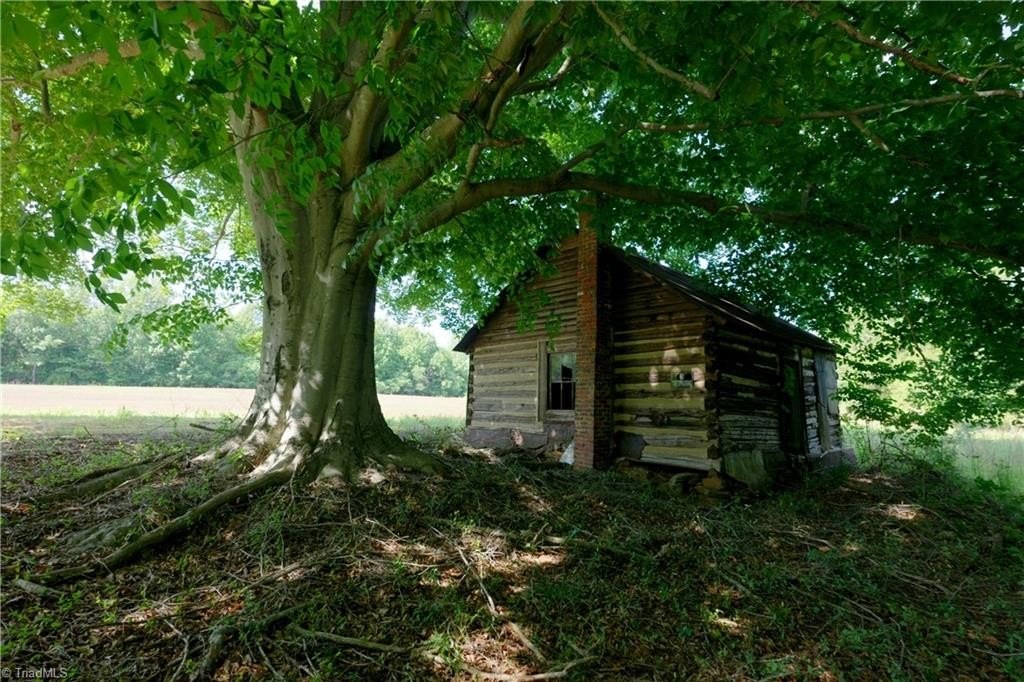 Picture 13