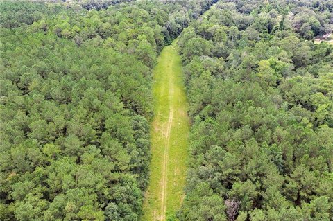 Wooded Residential Land Parcel