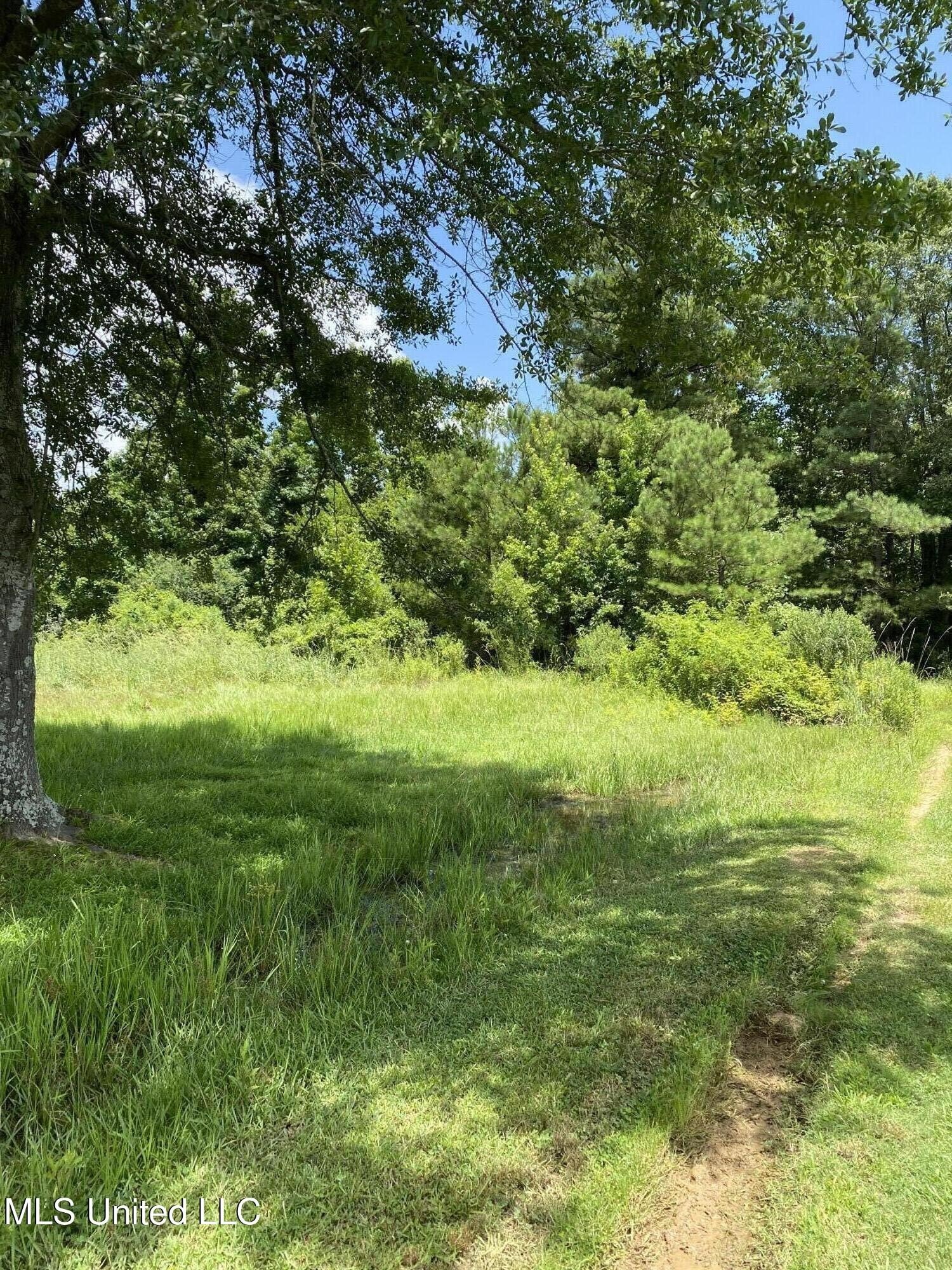 96 Acres of Rural Land
