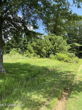 96 Acres of Rural Land