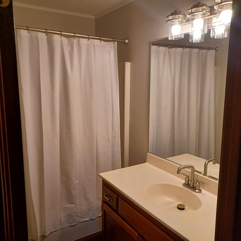 Picture 42