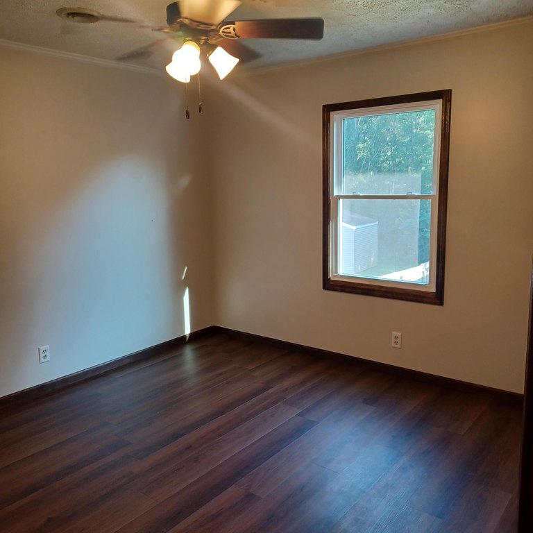 Picture 41