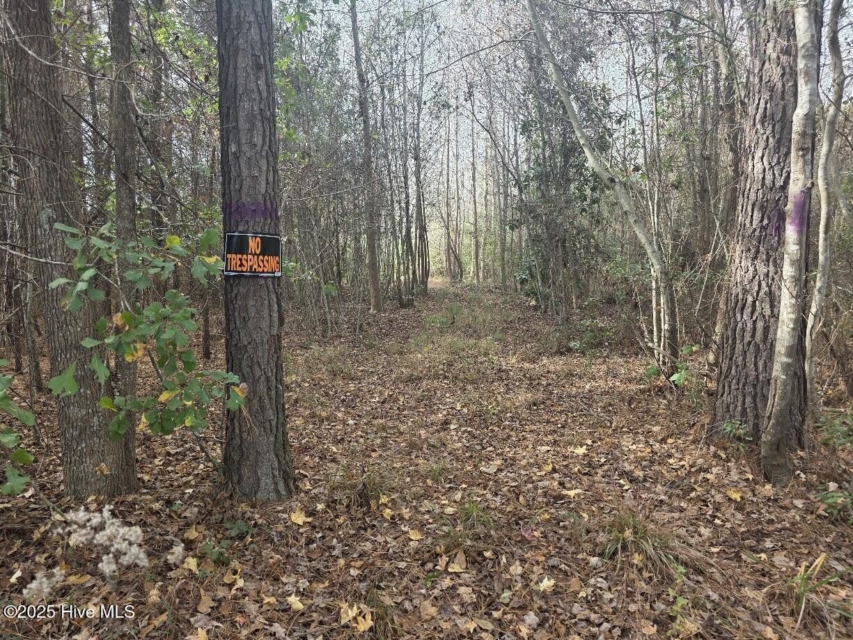 20+ Acres of Rural Land