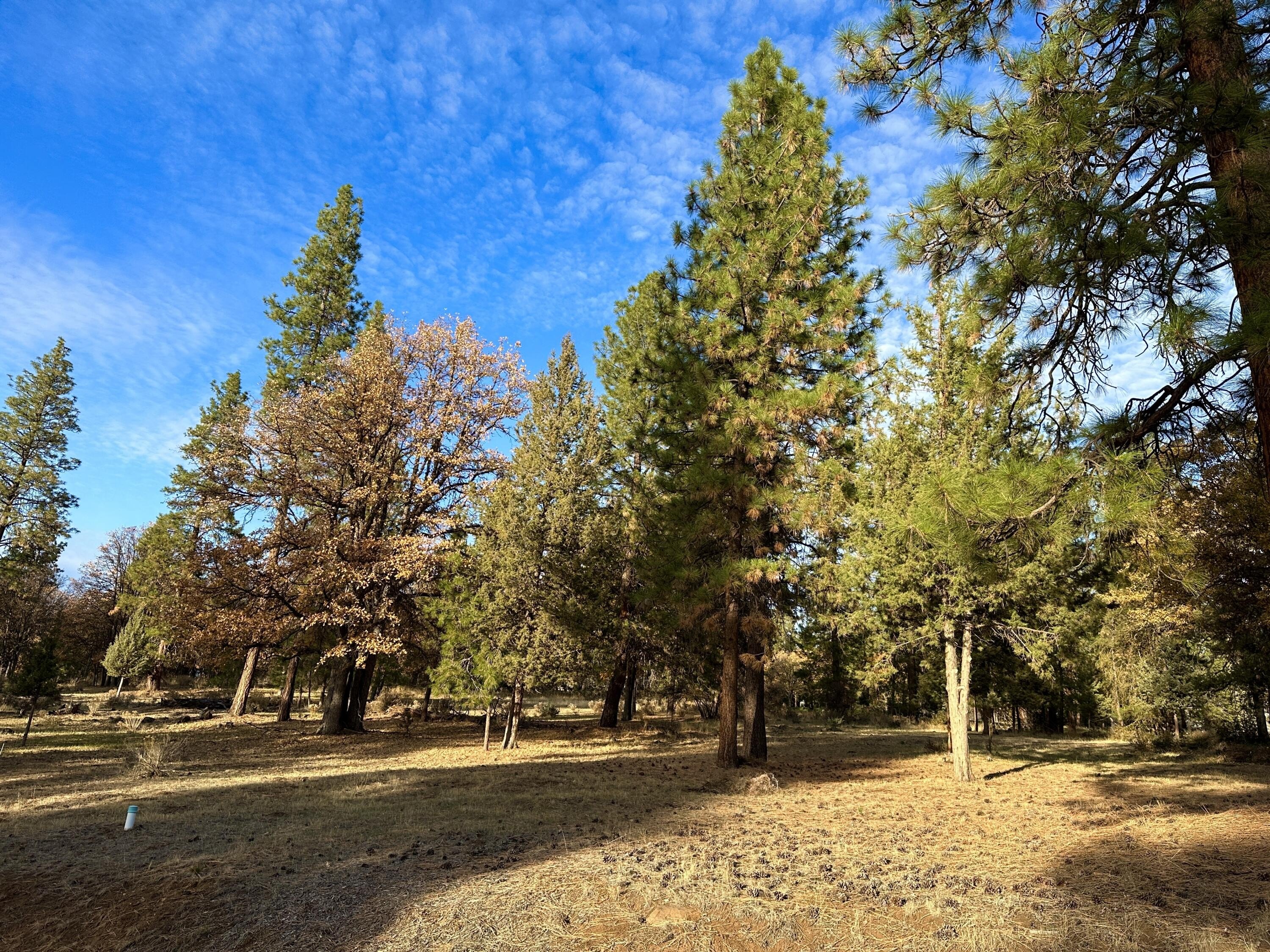 Residential Homesite at Running Y Resort