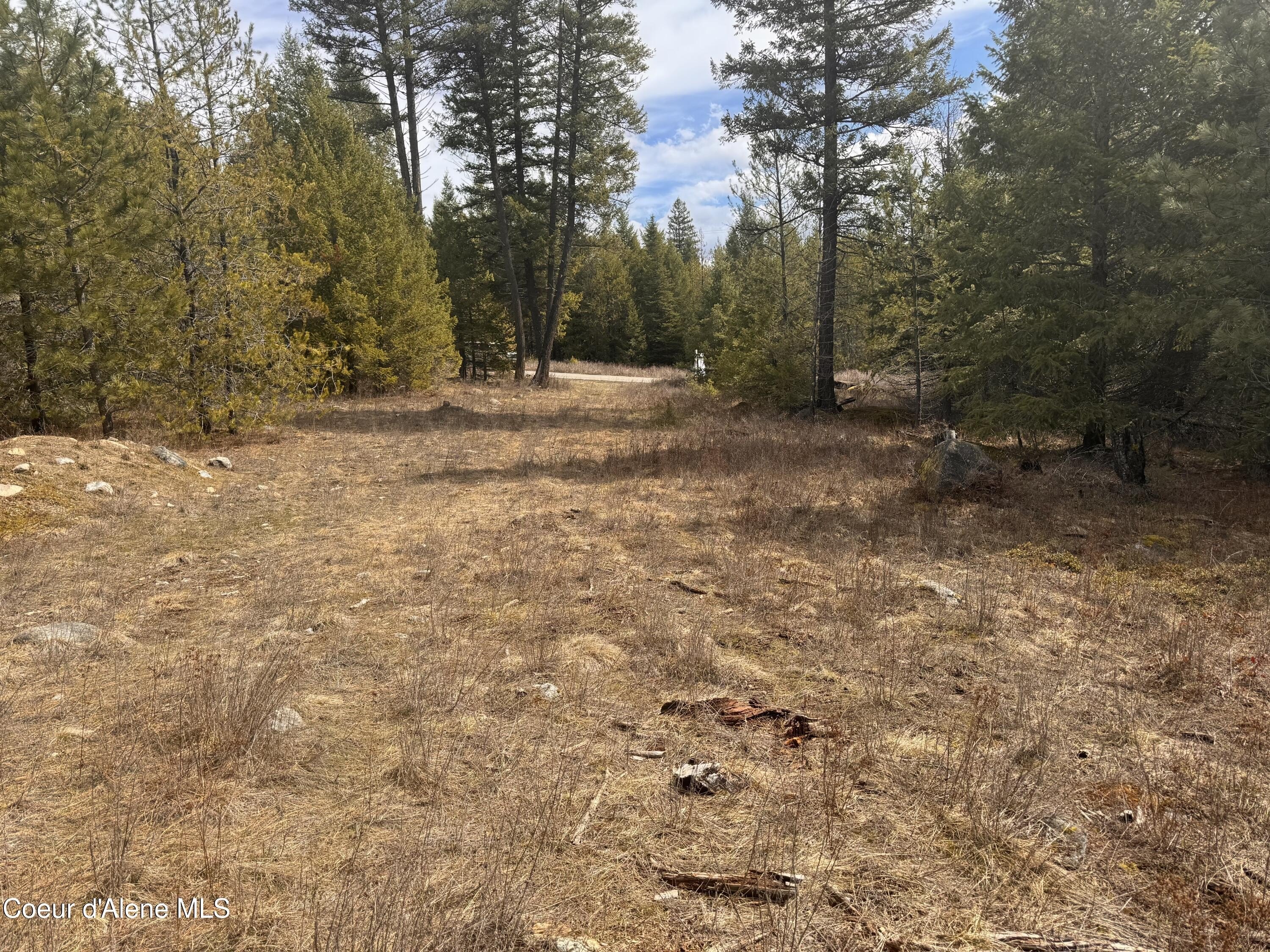 Athol, ID Wooded Land