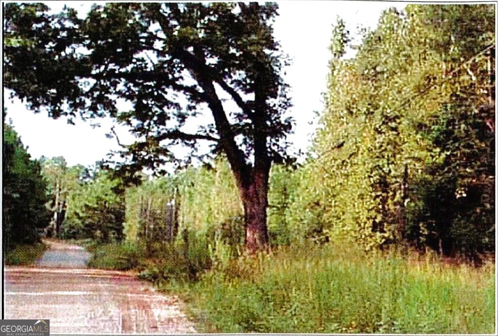Picture 5