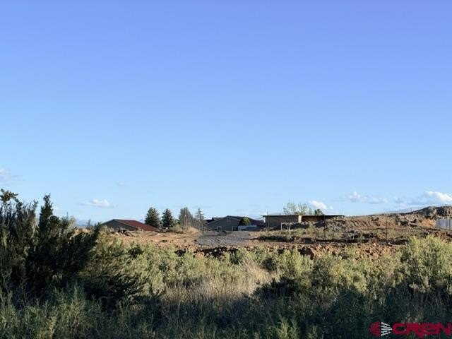 Picture 21