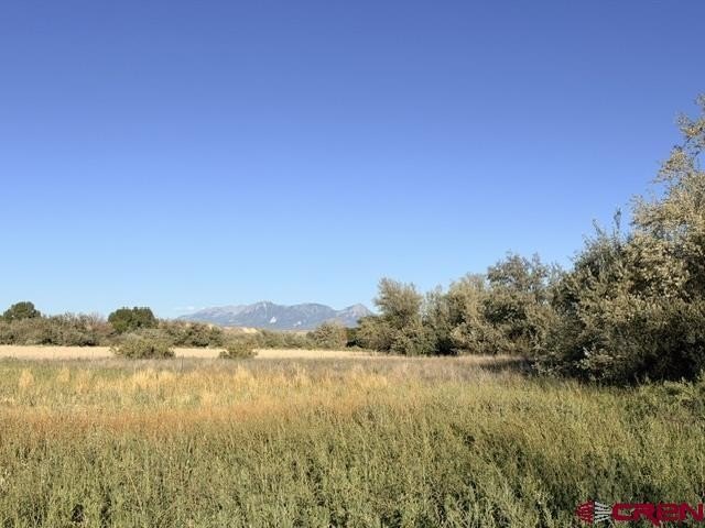 Picture 18