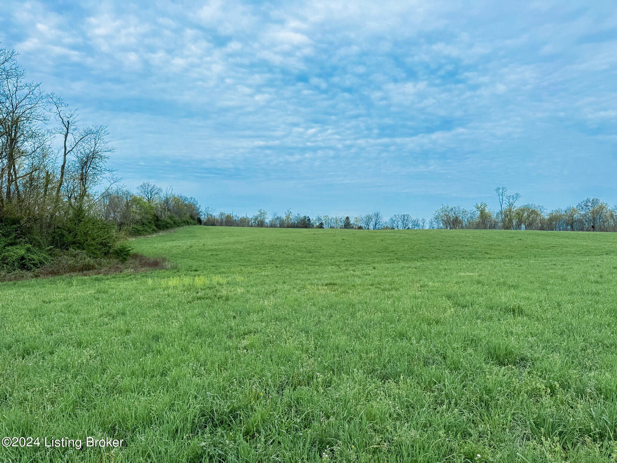 21.67 Acre Horse Property