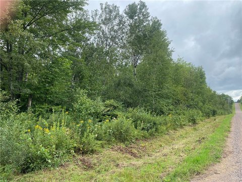 535 Acres of Forestland