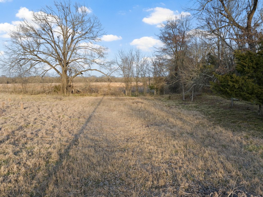 Picture 15