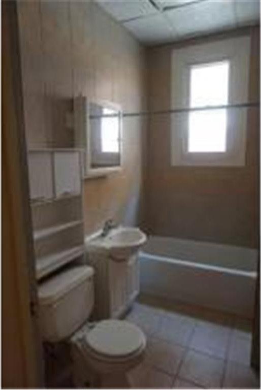 Picture 12
