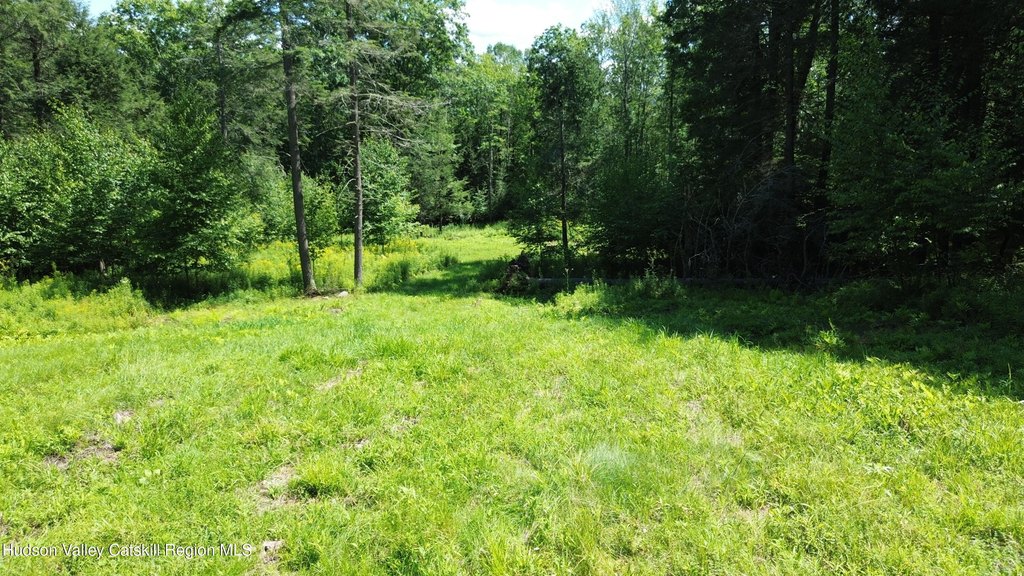 Picture 6