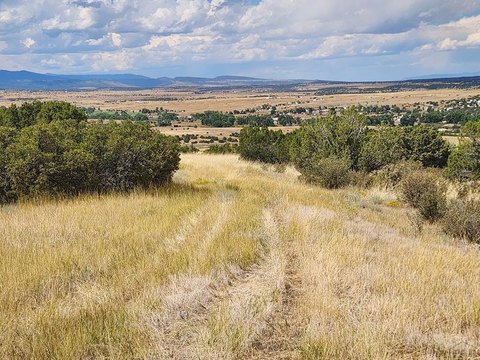 Colorado City Land For Sale