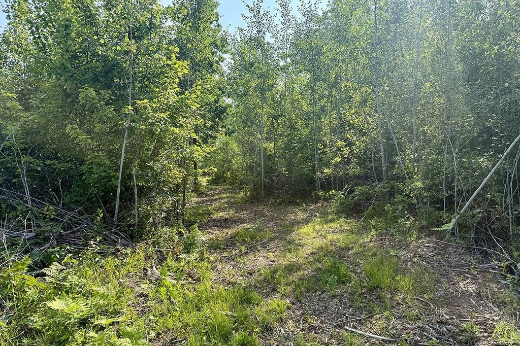 Picture 17