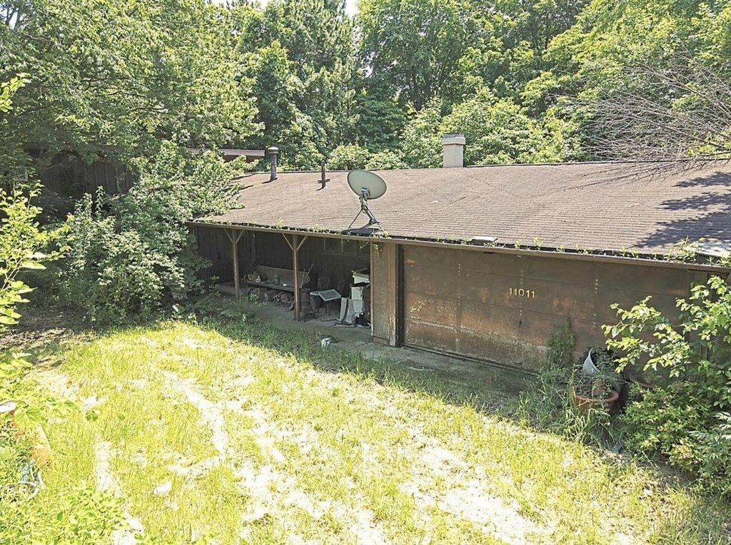 Picture 5