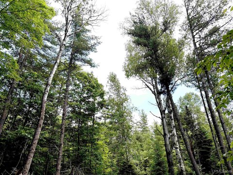 LAND - Ishpeming, MI