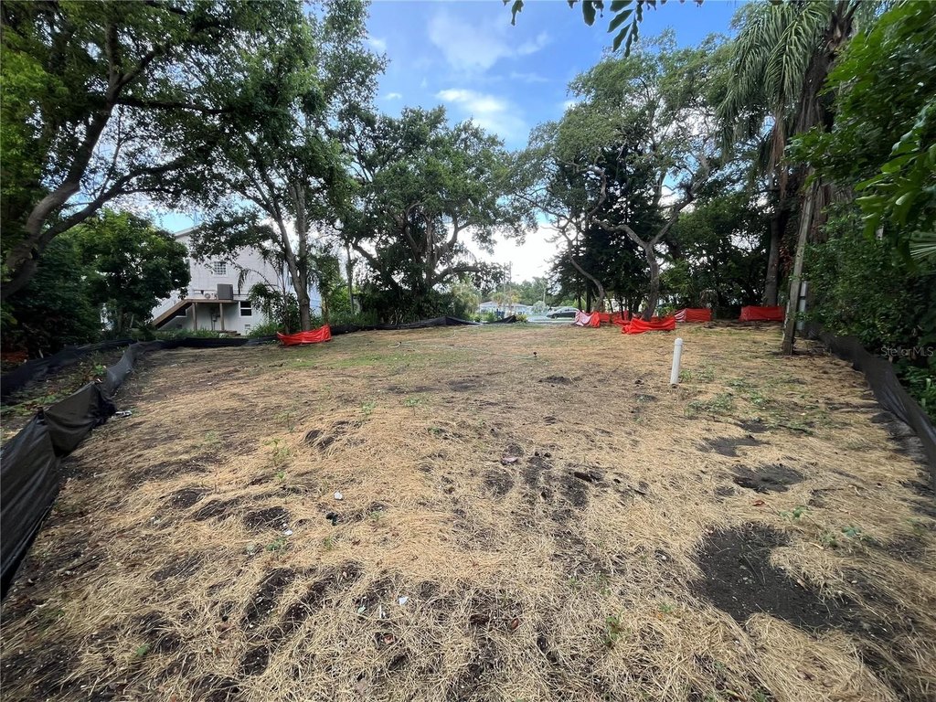Picture 6