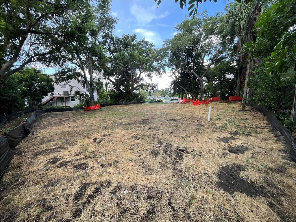 Picture 8