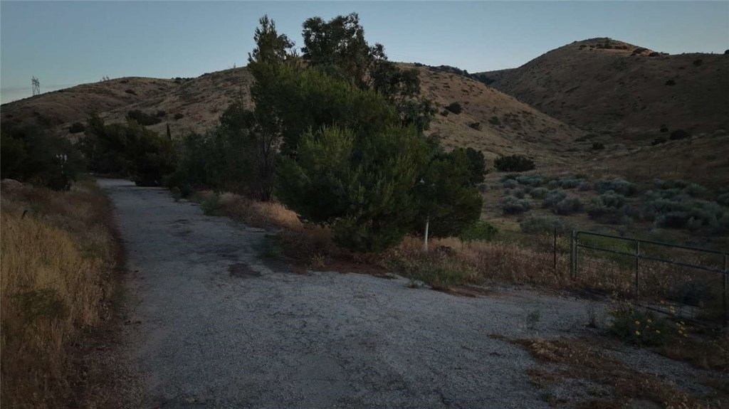 Picture 11