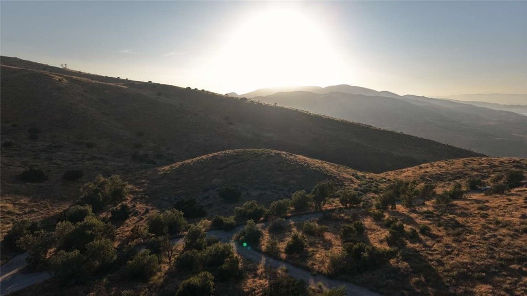 Picture 22
