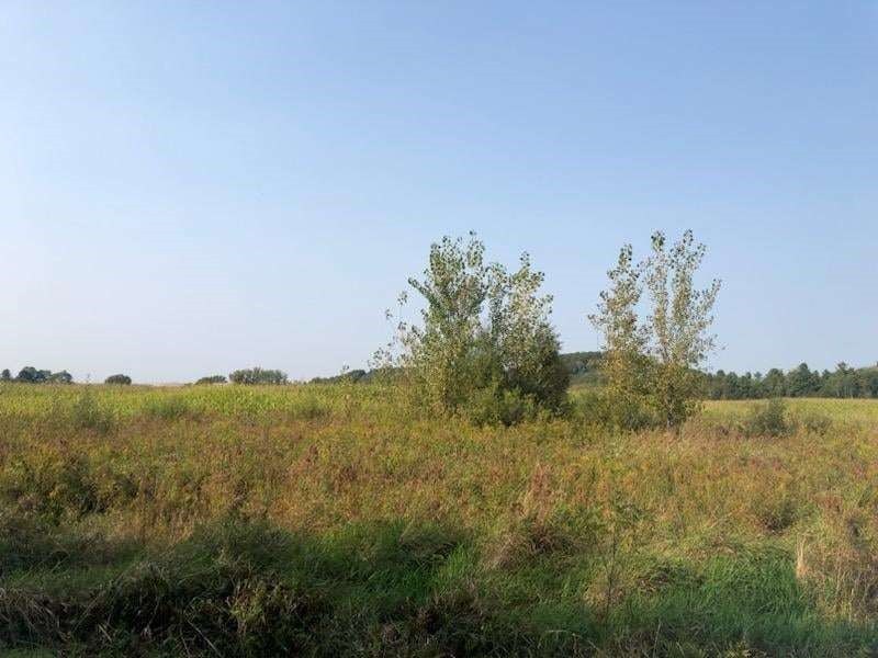 Chippewa Falls Land For Sale