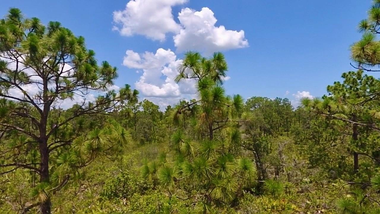 Spacious Lot in Gated Community