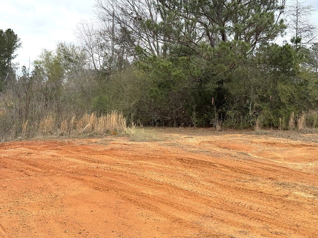 Picture 29